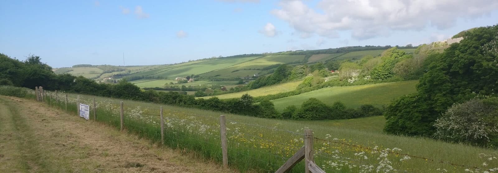 Rolling Isle of Wight downland and fields under a blue sky