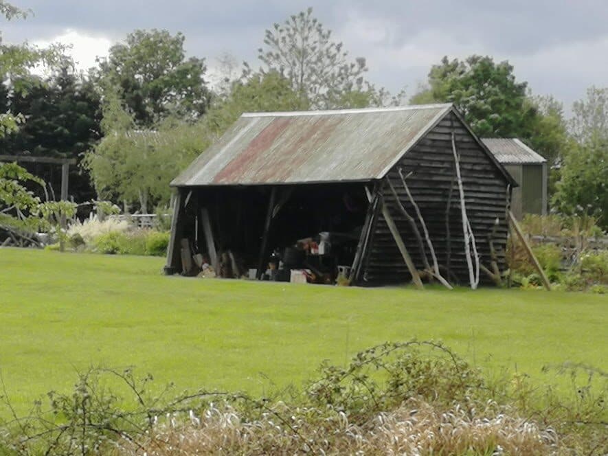 An old timber shed with a rusting tin roof at the end of a garden